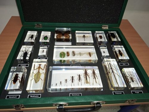 FB_IMG_1776689851114