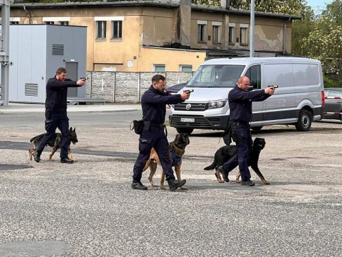 Wizyta na policji 
