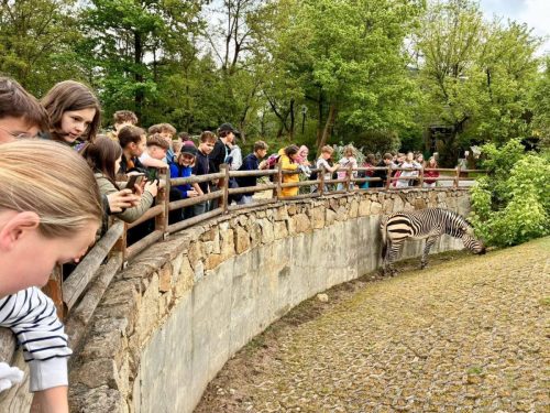 Wycieczka do zoo