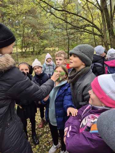 Warsztaty przyrodnicze „Leśnej Bandy”.