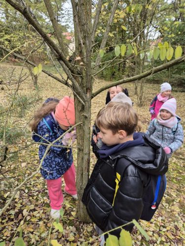 Warsztaty przyrodnicze „Leśnej Bandy”.