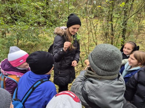 Warsztaty przyrodnicze „Leśnej Bandy”.
