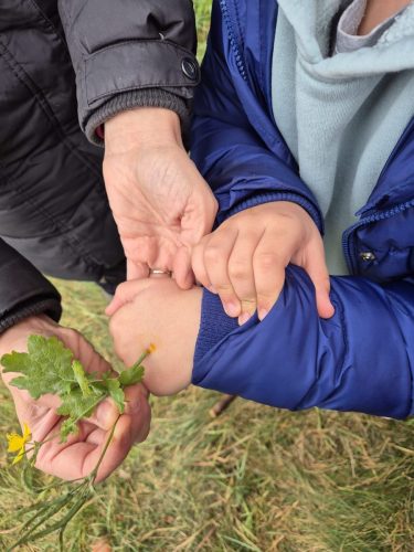 Warsztaty przyrodnicze „Leśnej Bandy”.