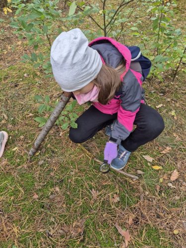 Warsztaty przyrodnicze „Leśnej Bandy”.
