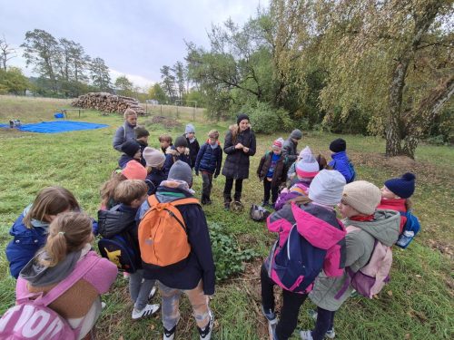 Warsztaty przyrodnicze „Leśnej Bandy”.